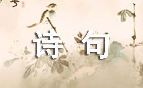 诗句作文（精选22篇）