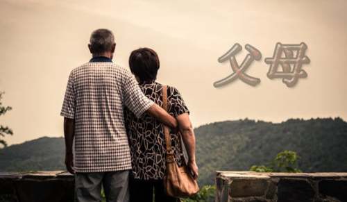 感谢父母作文400字（精选3篇）