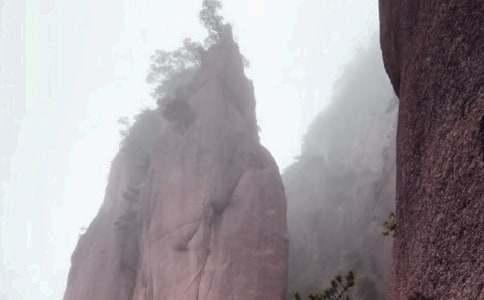 难忘的黄山之旅作文[精选]
