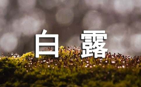 白露节气祝福短句（精选240句）