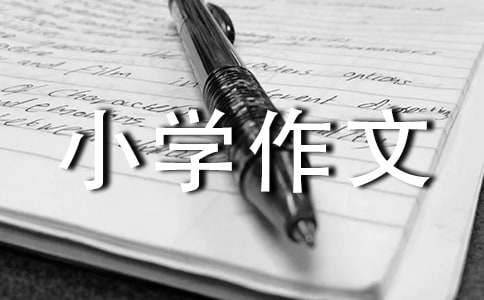 五一小学作文(精品)