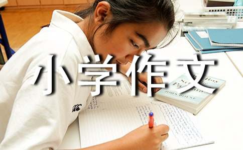 【推荐】野炊小学作文