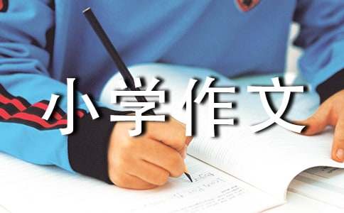 【精品】美丽小学作文汇编6篇