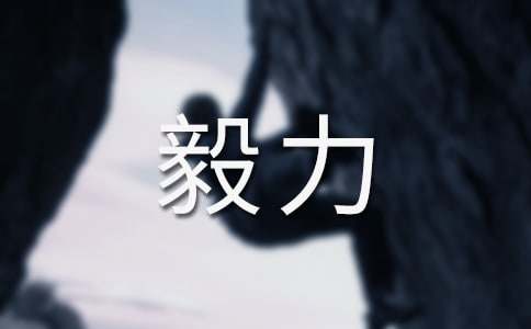 毅力战胜一切人生的意义初中作文