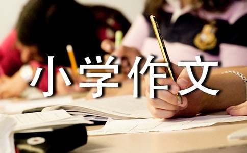 有关美丽的小学作文10篇