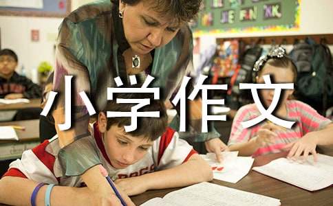 看雪小学作文7篇