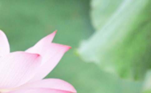 二十四节气夏至广播稿（精选10篇）