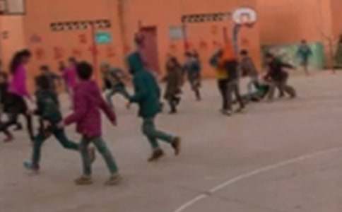 美丽的乡村小学作文15篇