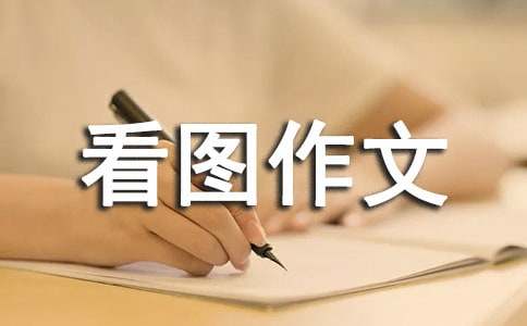 【实用】看图作文300字集锦十篇