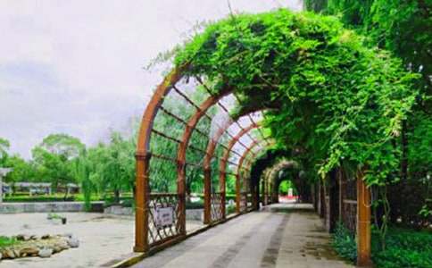 唐山南湖公园作文(8篇)