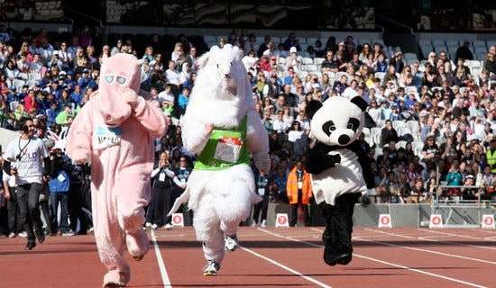 有关初一运动会作文集合七篇