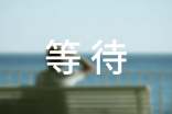 等待的作文(锦集6篇)