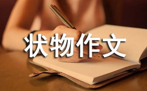 【精华】初一状物作文6篇