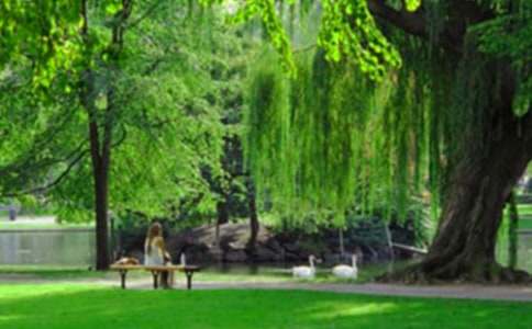 唐山南湖公园作文8篇