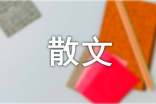 那些年_抒情类散文300字