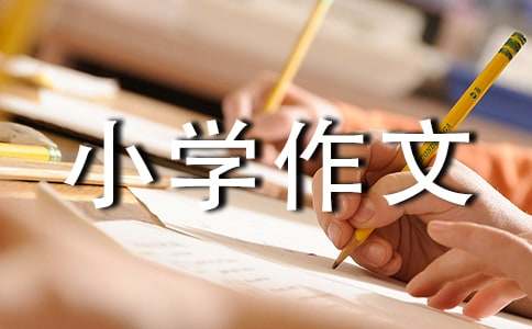 定格小学作文9篇