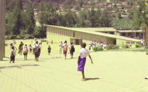 小学生优秀作文：醒悟