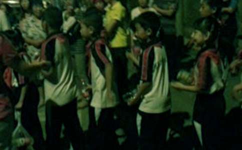 精选爱国小学生作文10篇