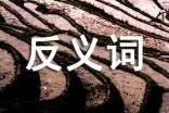 反义词教案（通用20篇）