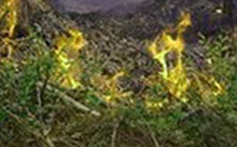 火灾事故应急预案（通用25篇）