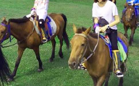 骑马作文300字三篇