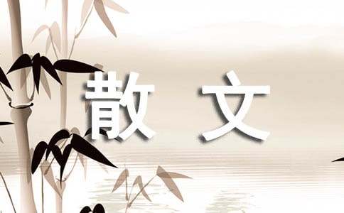 关于散文作文4篇