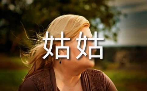 我的麻辣小姑姑-写人作文