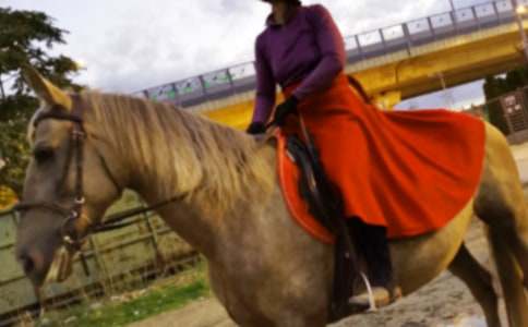 描述骑马的作文500字