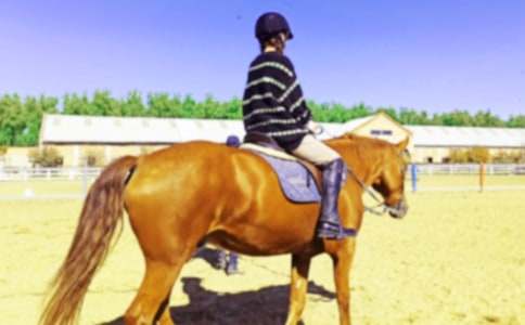 【热门】骑马作文300字3篇