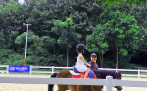 【热门】骑马作文300字九篇