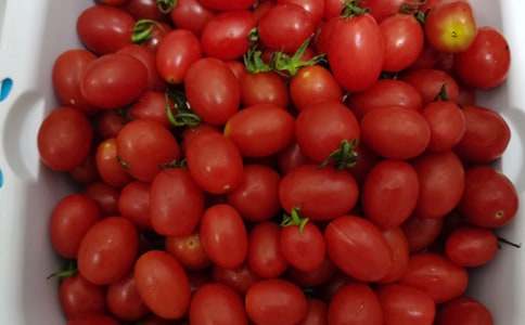 水果说明文作文（通用36篇）