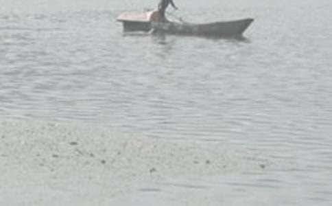 (优选)科海泛舟作文