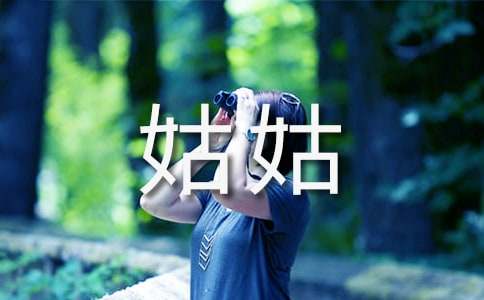 关于描写姑姑的小学生作文