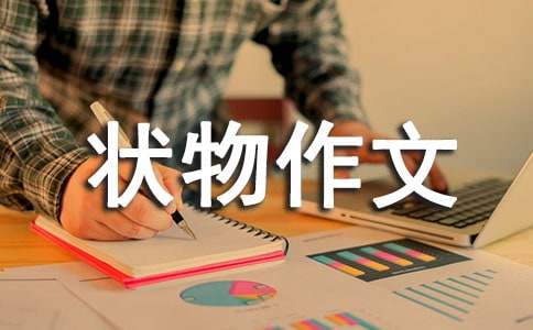 状物作文写作方法