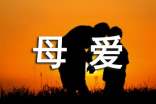 母爱的作文7篇[精品]