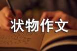 实用的三年级状物作文300字锦集十篇
