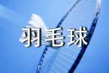 打羽毛球启示作文