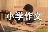 美丽小学作文6篇【实用】