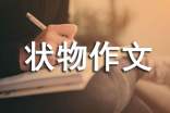 三年级状物作文【集合10篇】