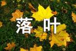 落叶作文600字集合(4篇)