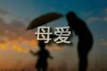 实用的母爱的作文【优秀】
