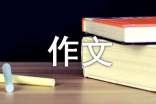 【推荐】人生的作文300字4篇