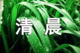 清晨的阳光作文(集合)