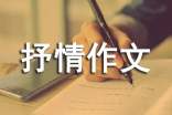 抒情作文300字[通用9篇]