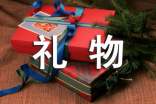 实用的礼物作文300字集合10篇