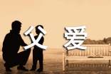 父爱的力量作文10篇