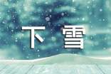 【热门】下雪作文300字7篇