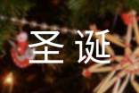 快乐的圣诞节作文300字(经典)