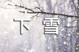 【精华】下雪作文300字3篇