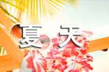 关于夏天的作文【集合】